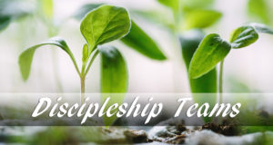 Discipleship Teams