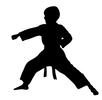 vector_clip_art_picture_young_boy_and_silhouette_practicing_karate_in_the_martial_arts_111110-153042-185001